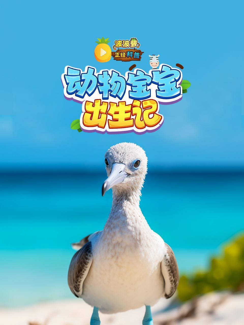 波波萝正经科普:动物宝宝出生记