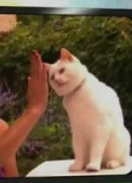 午夜男人免费天堂