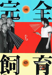 波多野结衣在线视频